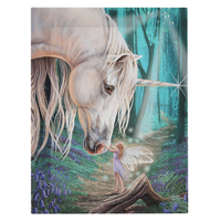 Fairy Whispers  Canvas