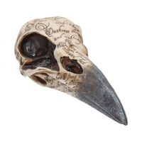 Nemesis Now Edgar's Raven Skull