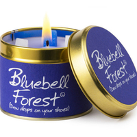 Bluebell Forest- Lily Flame