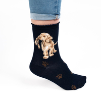 Wrendale Hopeful (Dog Navy ) Socks