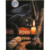 Witching Hour Canvas