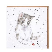 Wrendale Ladybird Cat  Greeting Card