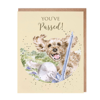 Wrendale Let The Journey Begin Dog Driving Test Greeting Card