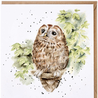 Wrendale Tree Tops Owl Greeting Card