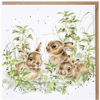 Wrendale  Spring Hares Leveret Greeting Card